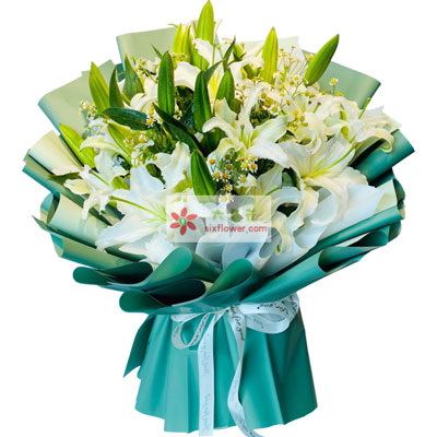 娄底8支白色多头百合洋甘菊，如潮的思念
